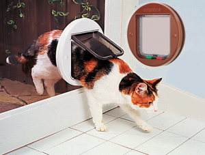 cat flaps in glass
